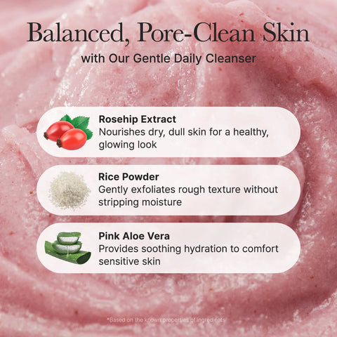 Fresh Rosehip Mochi Cleanser - 120g
