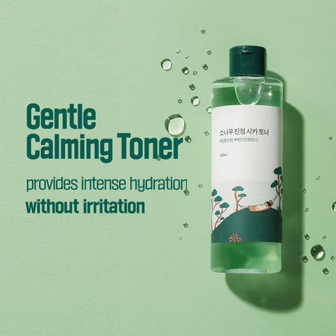 Pine Calming Cica Toner - 250ml