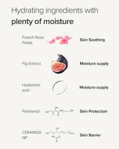 Vegan Rose Hyaluronic Hydra Wash off Pack (Twin Pack)