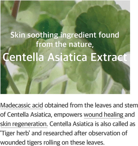 Soondy Centella Asiatica Essence - 100ml