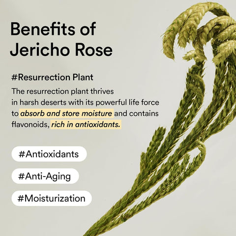 Collagen Eye Patch Jericho Rose Jelly - 60pcs