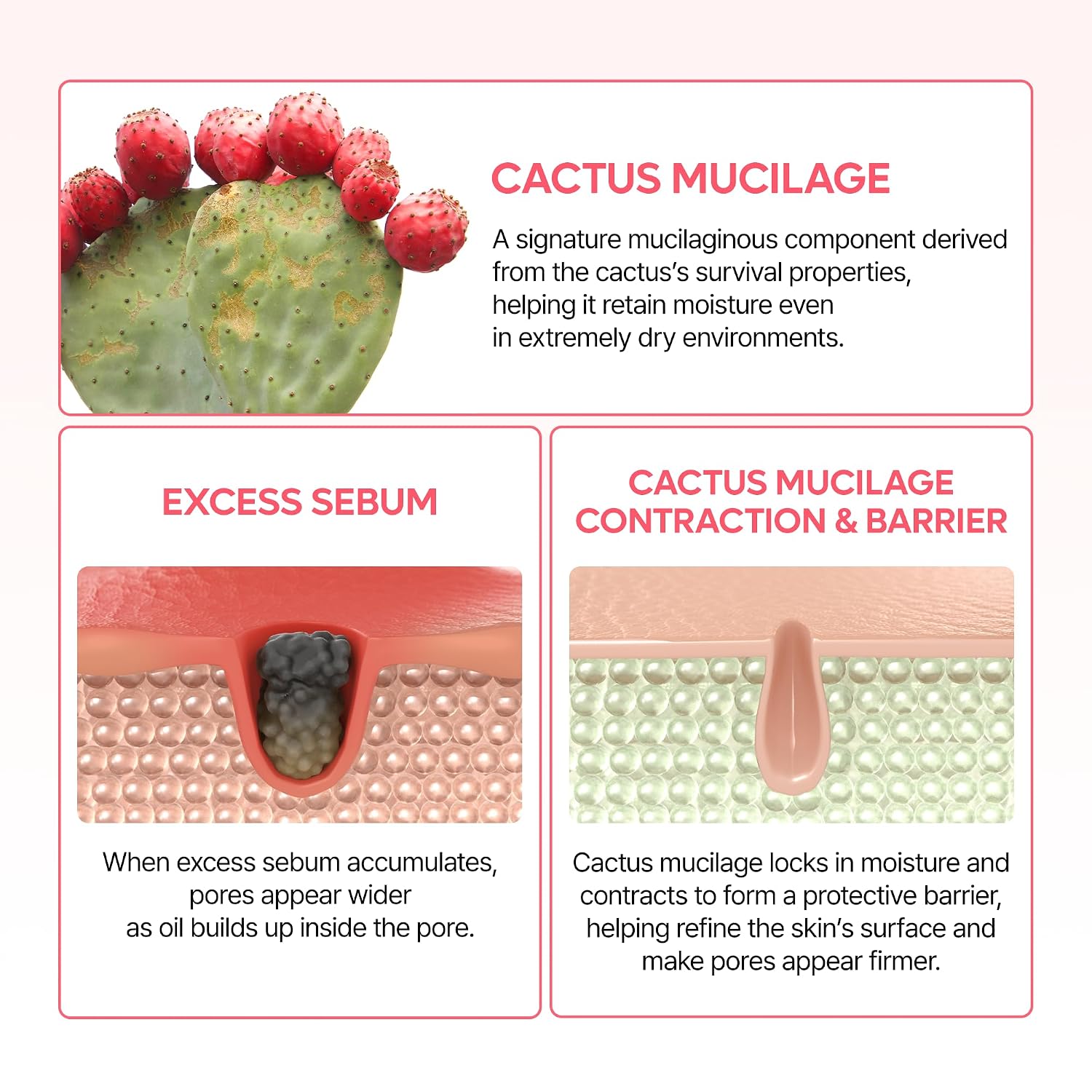 CACTOX Pore Relief Dual Capsule Cream - 65g