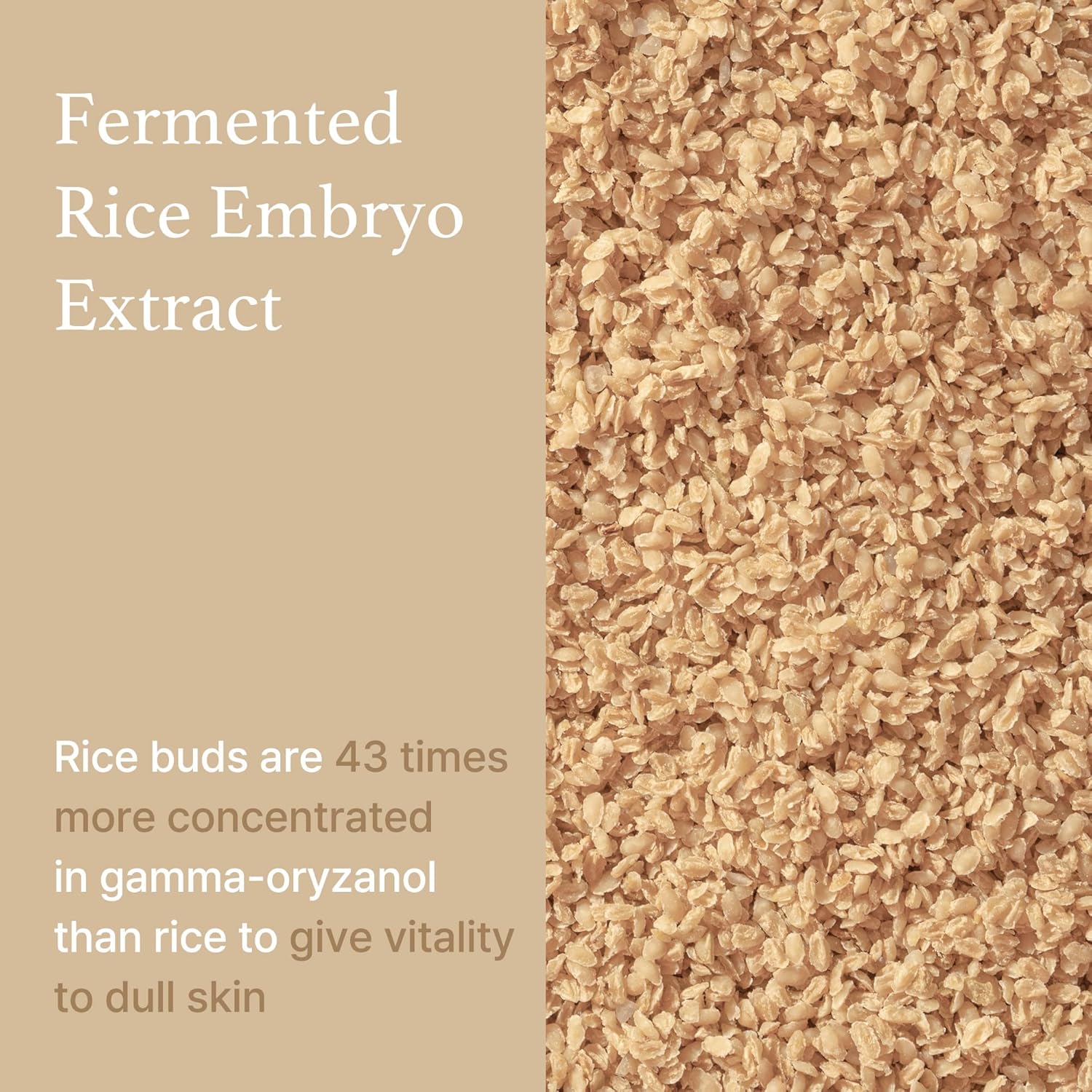 Rice Serum - 30ml