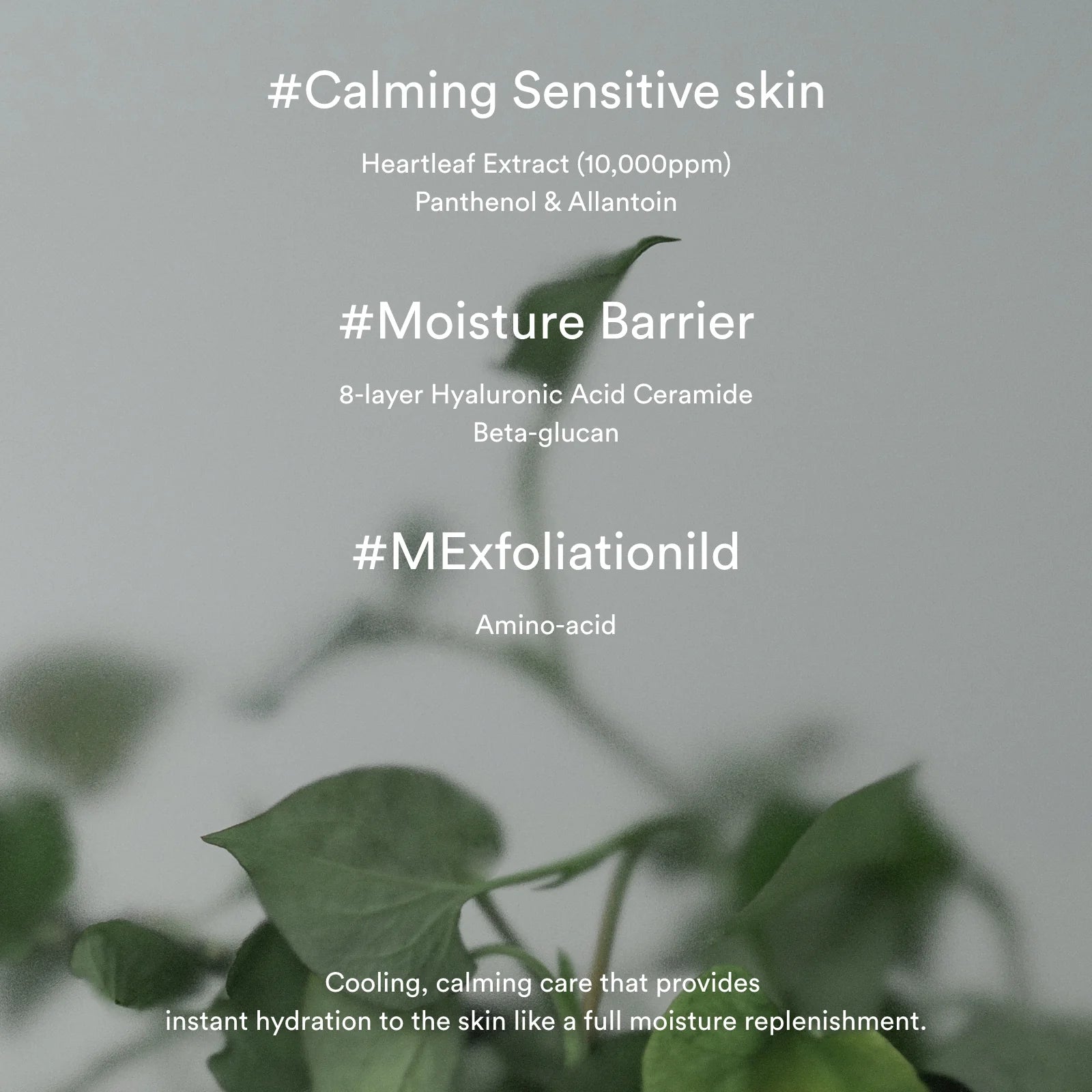 Heartleaf Creme Calming Tube - 75ml