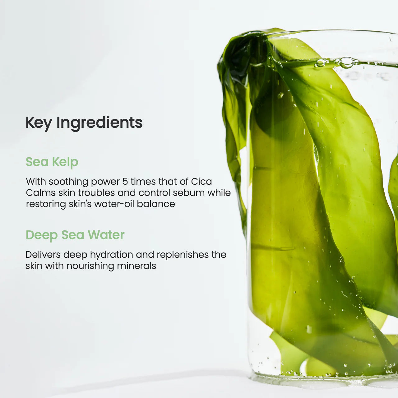 Refreshing Sea Kelp Real Deep Mask - 4 Masks