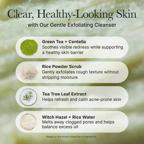 Product features with green tea, centella, rice powder scrub, tea tree leaf extract, and witch hazel on a natural background.