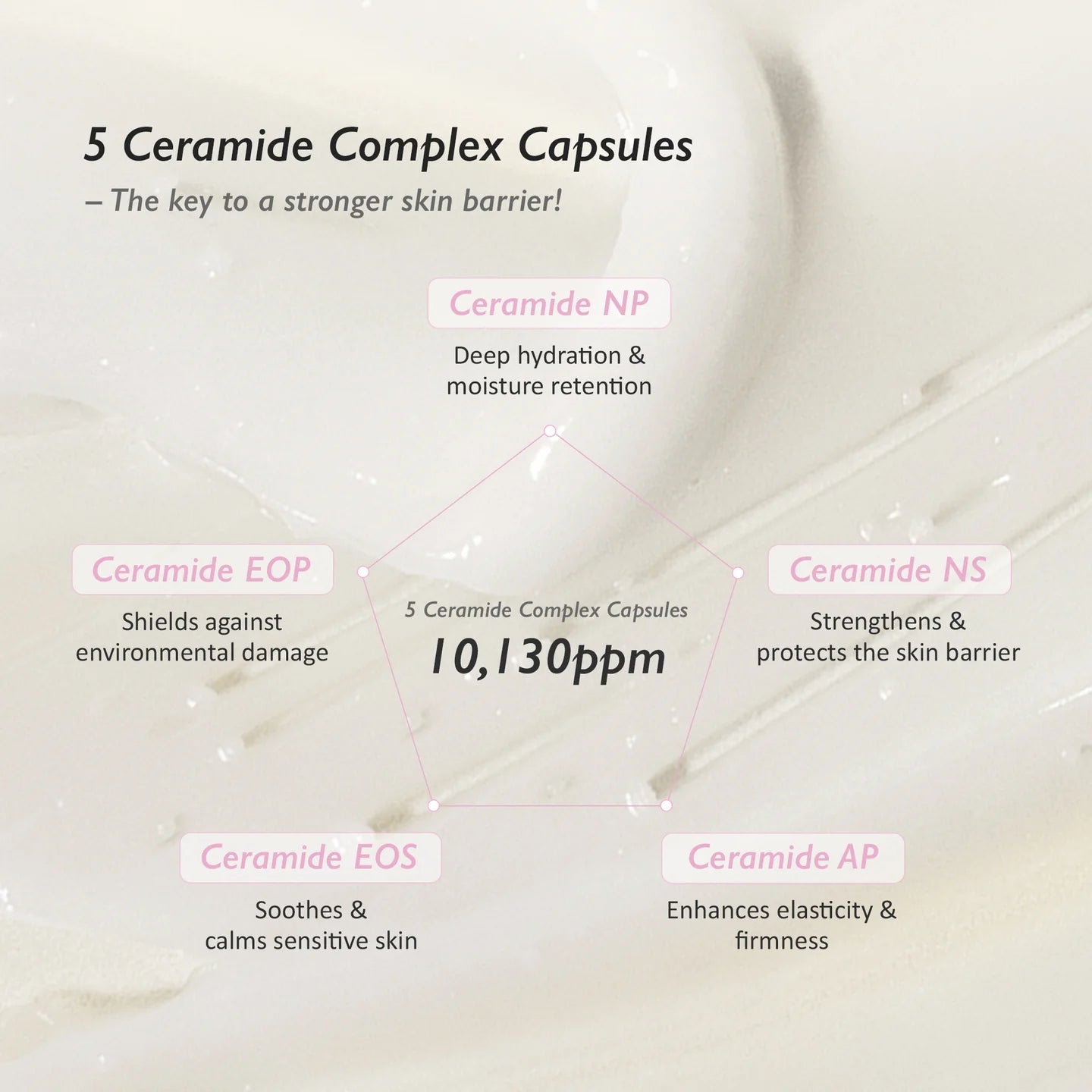 Black Rice 5 Ceramide Barrier Moisturizing Cream - 50ml