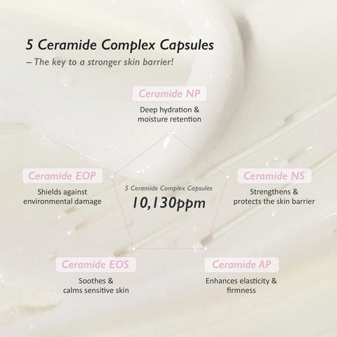 Black Rice 5 Ceramide Barrier Moisturizing Cream - 50ml