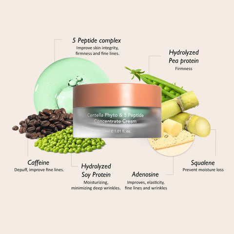Centella Phyto & 5 Peptide Concentrate Cream - 30ml