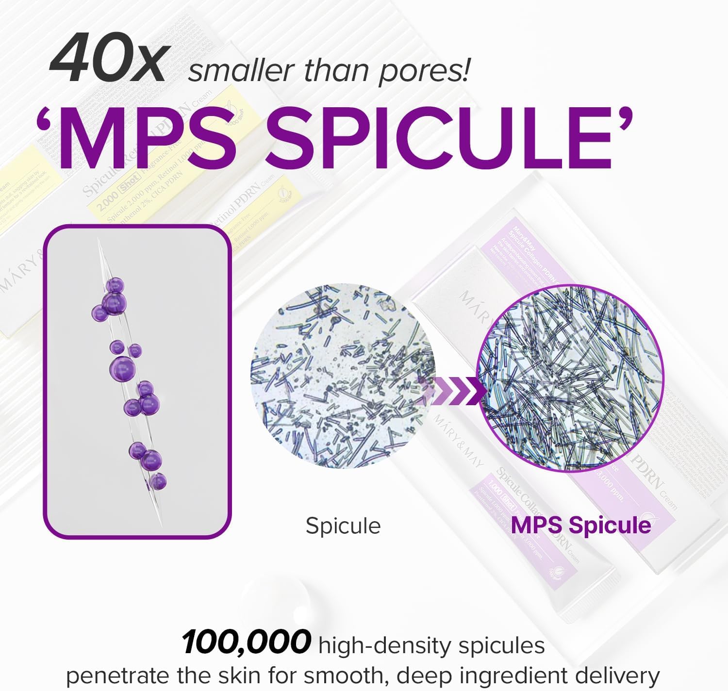Spicule Collagen PDRN Cream - 15g